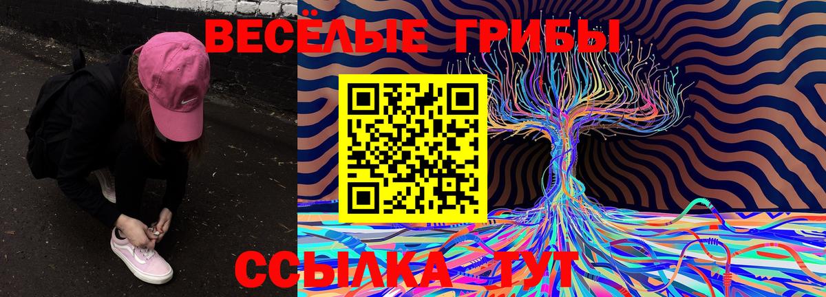 Галлюциногенные грибы GOLDEN TEACHER Кировск