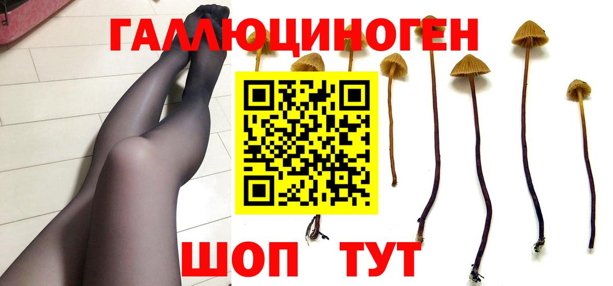 Псилоцибиновые грибы MAGIC MUSHROOMS  Вход с VPN  Кировск  Псилоцибиновые грибы мицелий 